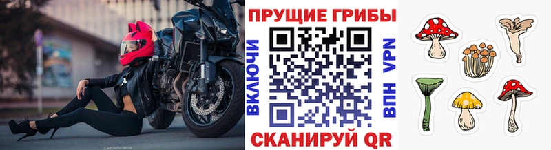 Галлюциногенные грибы Cubensis  Удачный 